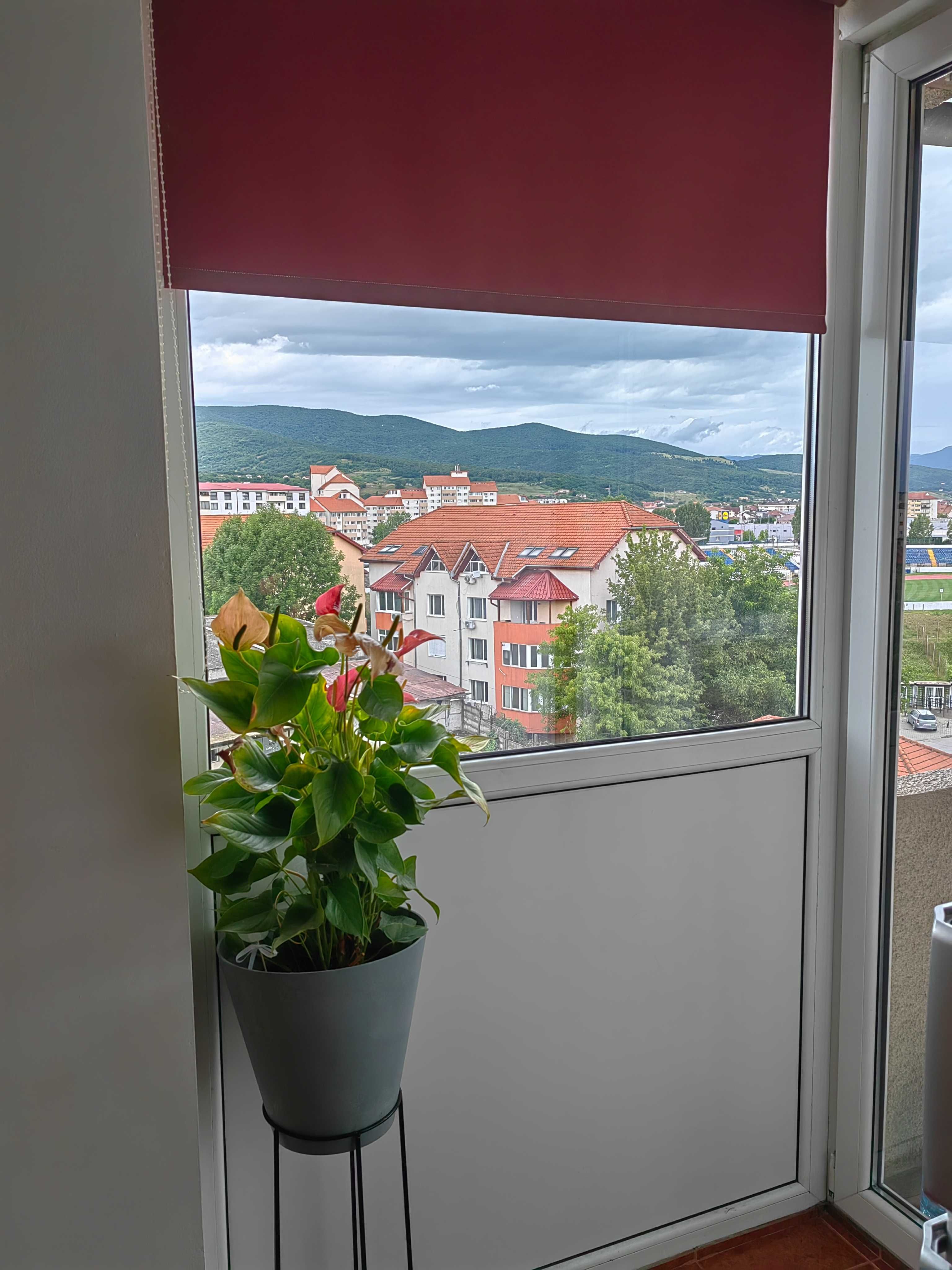 apartamente de vanzare alba-iulia