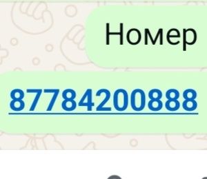 Соғым ат жылқы сатамын семіз