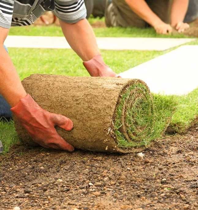 Gazon Rulou Sport / Premium