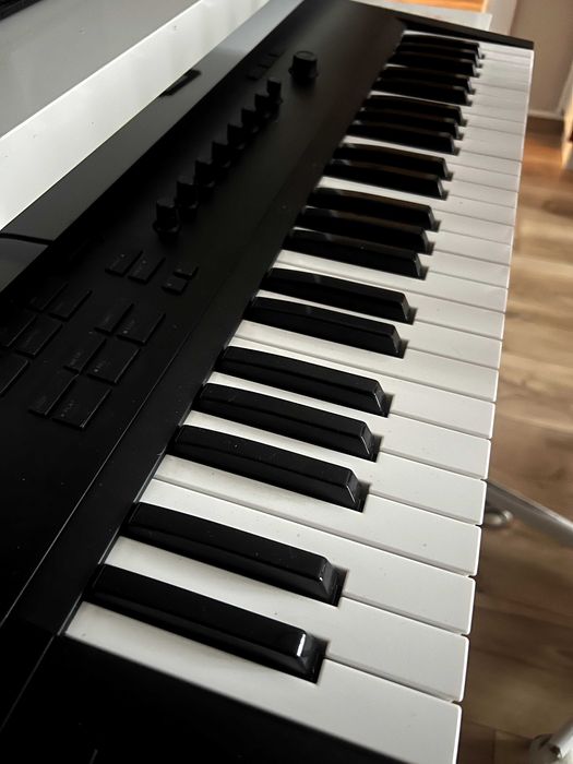 Native Instruments Komplete Kontrol A49 Миди клавиатура