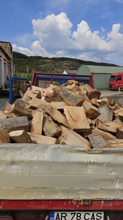 Lemn de foc fag uscat