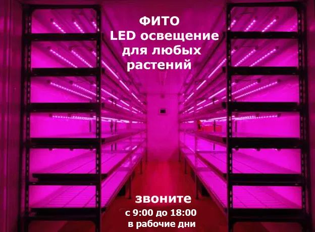 для комнатных растений и теплиц ФИТО-ЛАМПА LED светильник