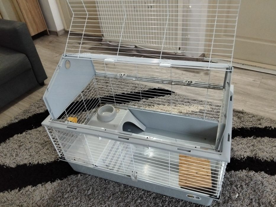 Șinșila, cu tot cu cusca