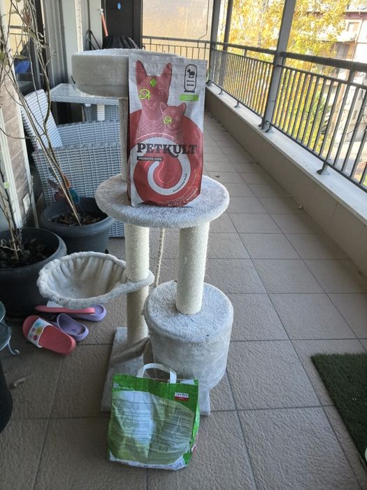 тоалетна за котка