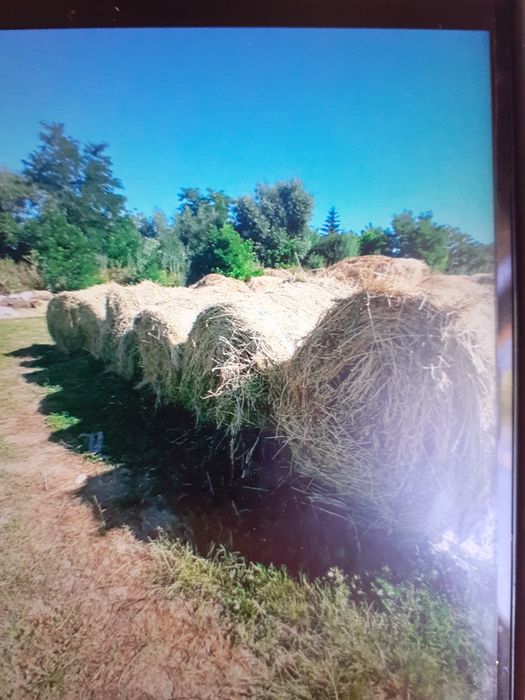 Baloti fân si lucerna