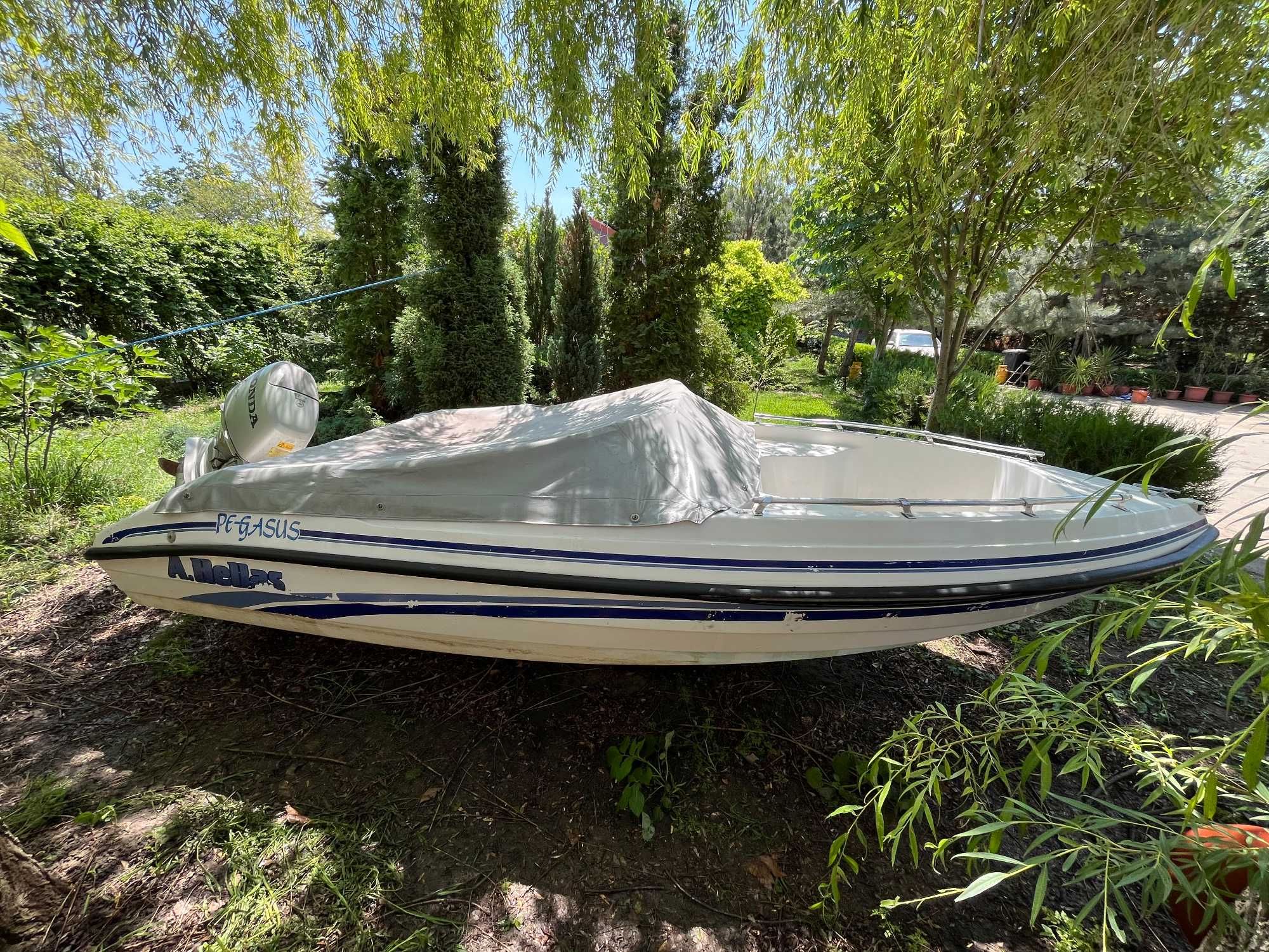 Barca Hellas Pegasus Motor 50CP in 4 timpi