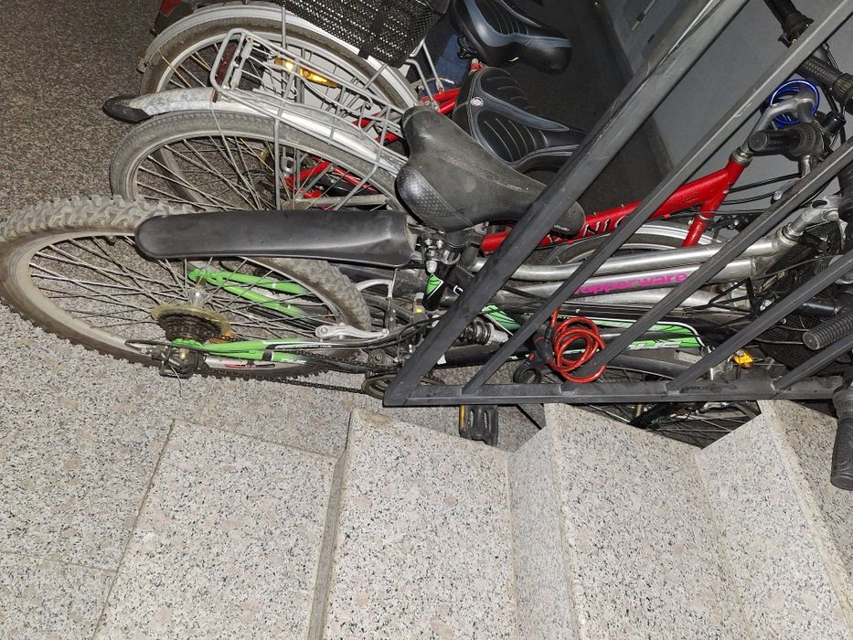 Bicicleta  pentru adulți