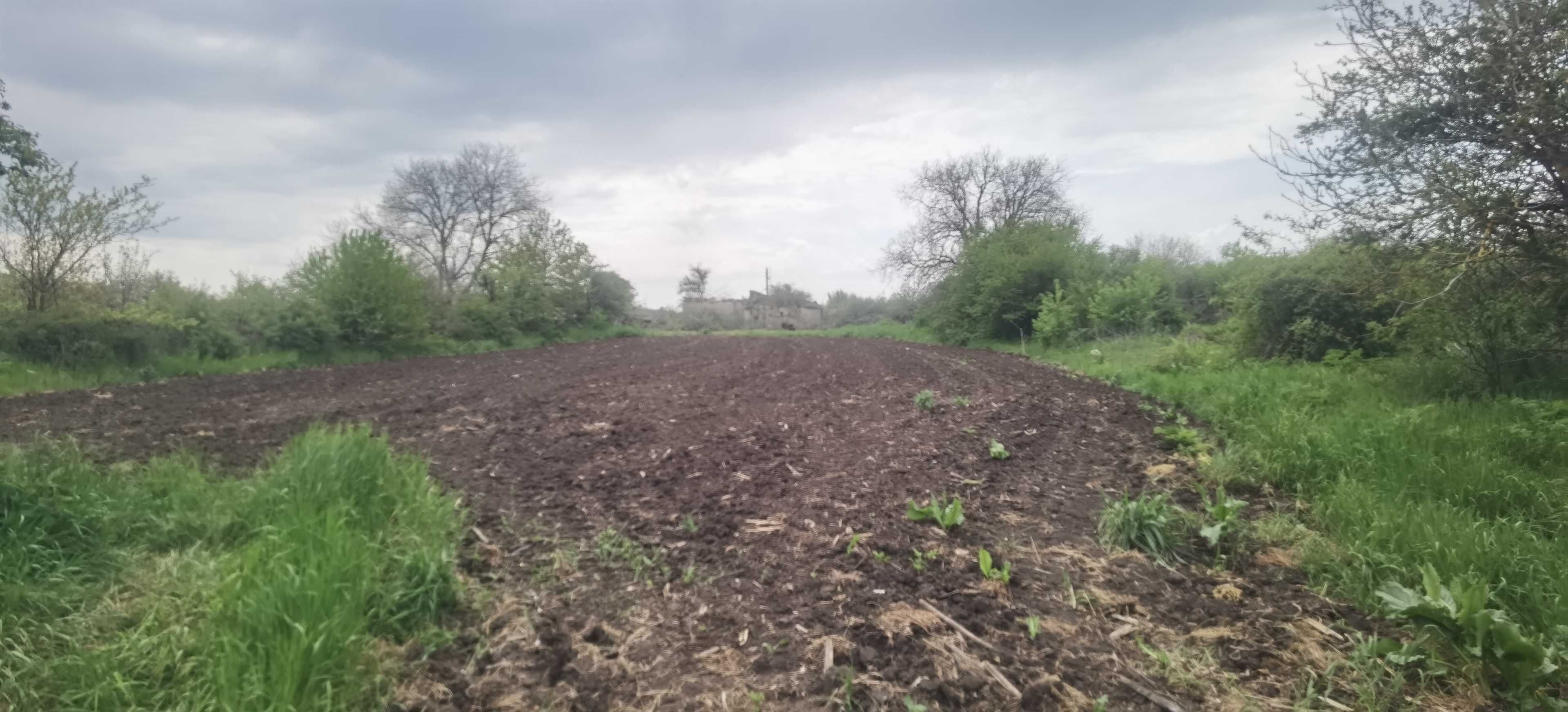 Парцел с къща в регулация в село Могилище 2718кв.м