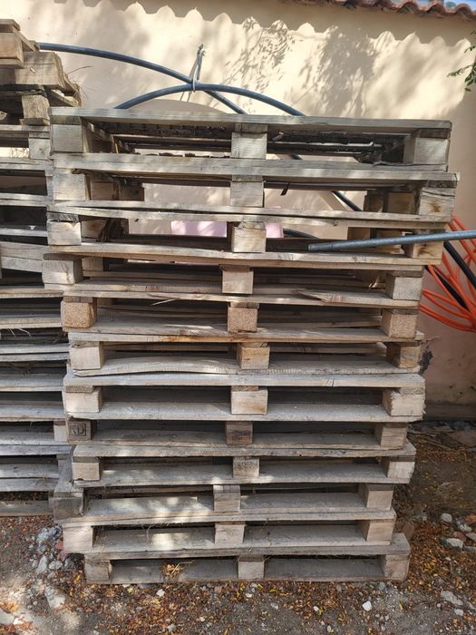 Paleti lemn (Euro/Non euro)