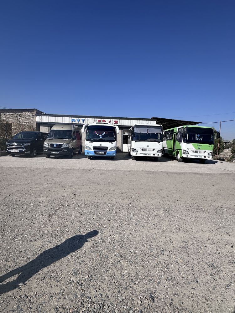 Jak 11 kishilik, Mikra aftobus, Aftobus, xizmatlari