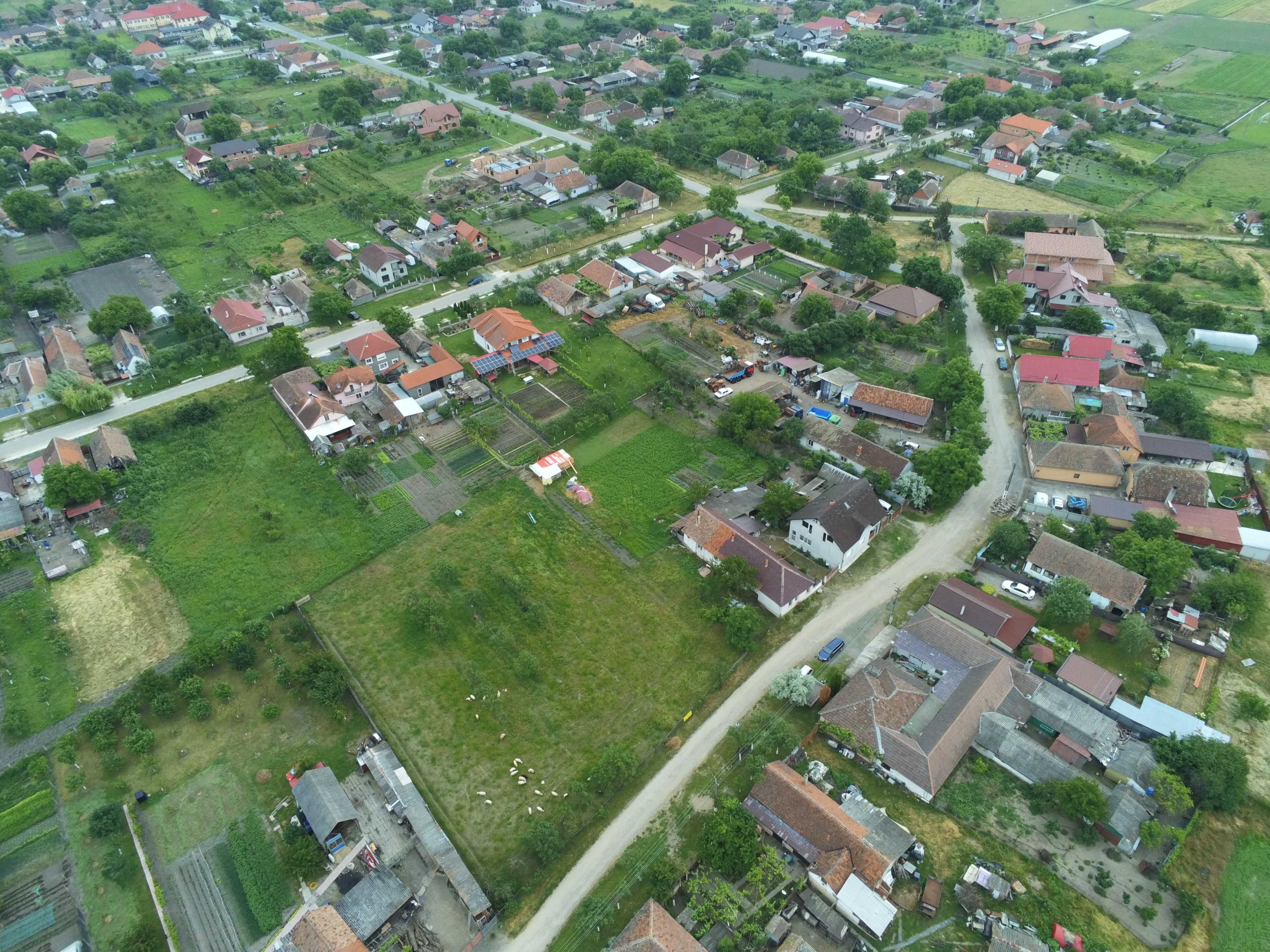 Persoana Fizica vand Teren Intravilan 3000 mp Loc. Sambateni jud. Arad