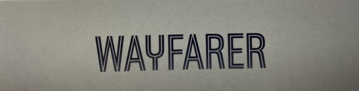 Rayban Meta wyfarer, headliner, skyler.