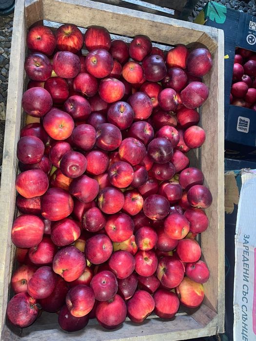 Mere de vanzare diverse sortimente