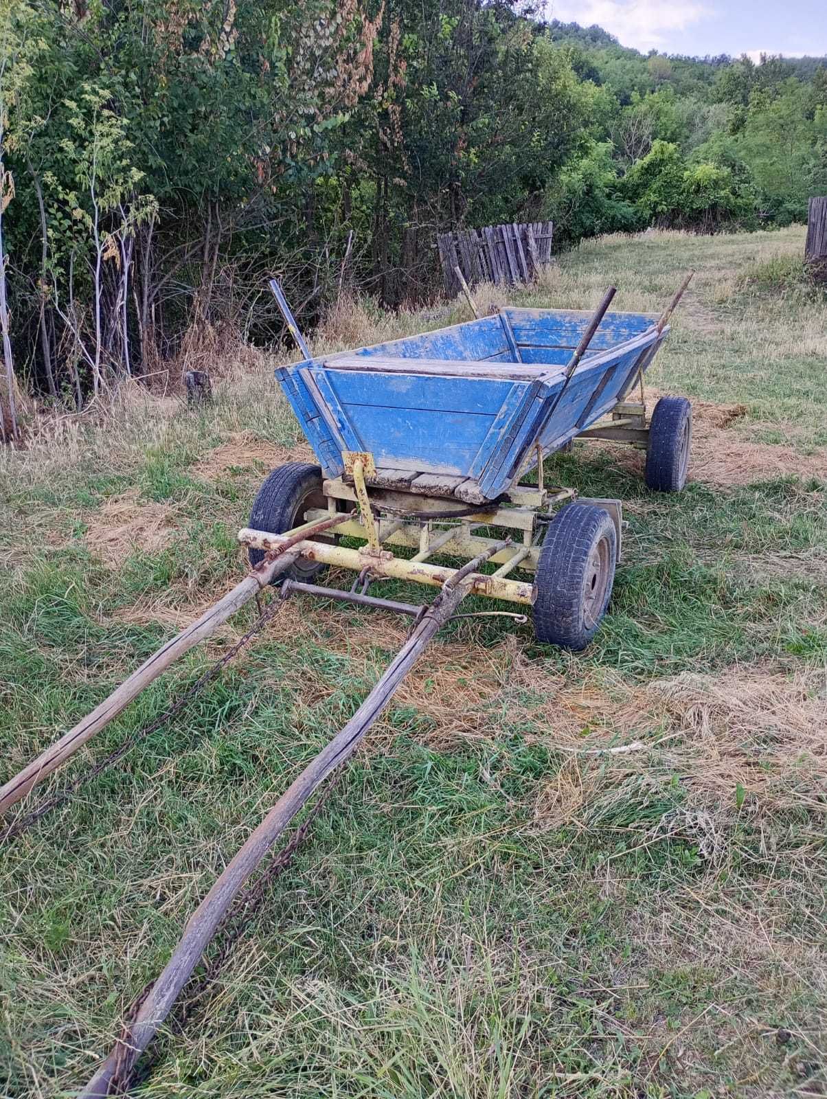 Vând cal și căruță