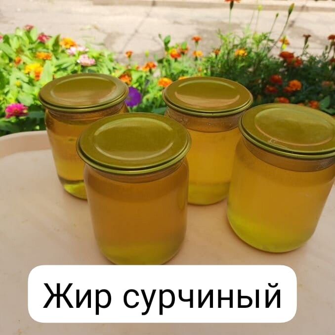 Жир лечебный от легочных заболеваний