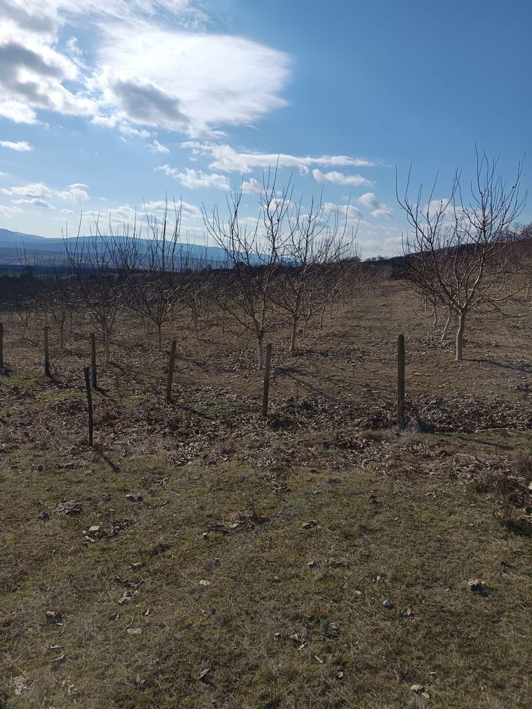 Продава се Земеделски имот в с. Планиница, Област Бургас -  кв.м за 7 €/дка - Снимка #6