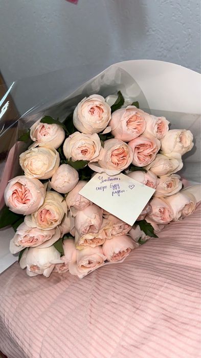 Цветы  пионовидных роз