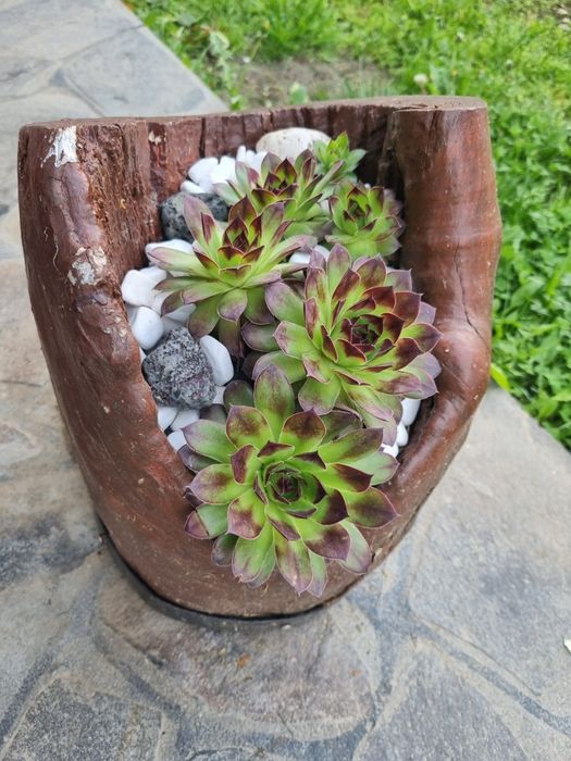 Vand aranjamente de flori de piatra