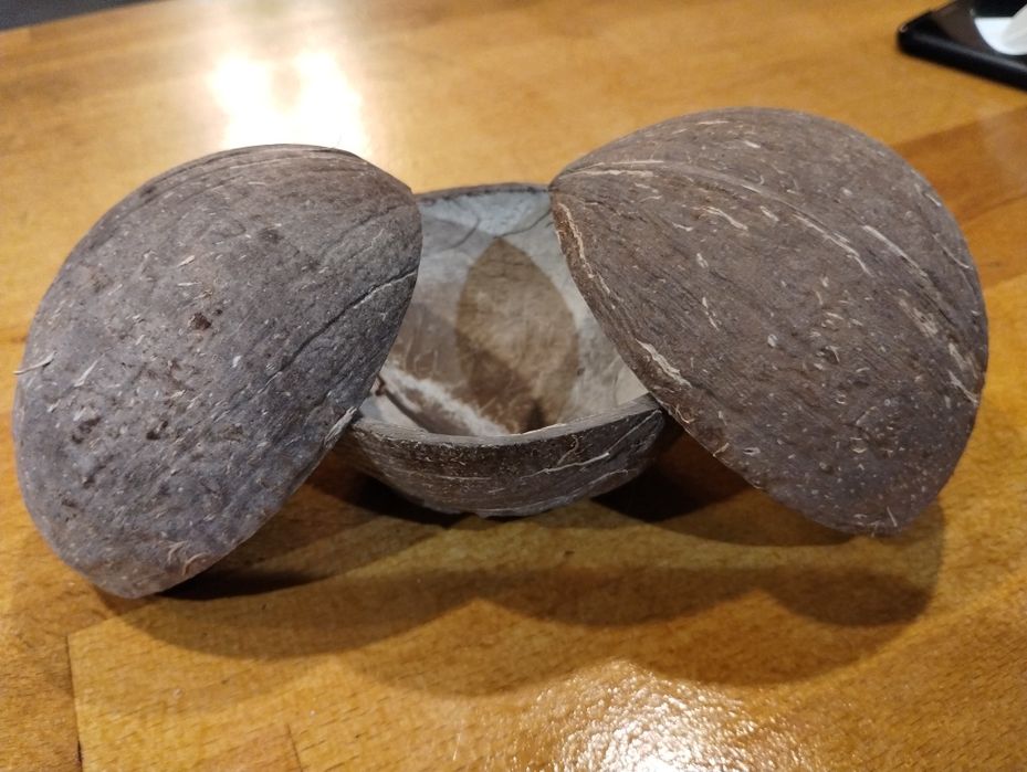 Coji nuca cocos pentru decorațiuni acvariu