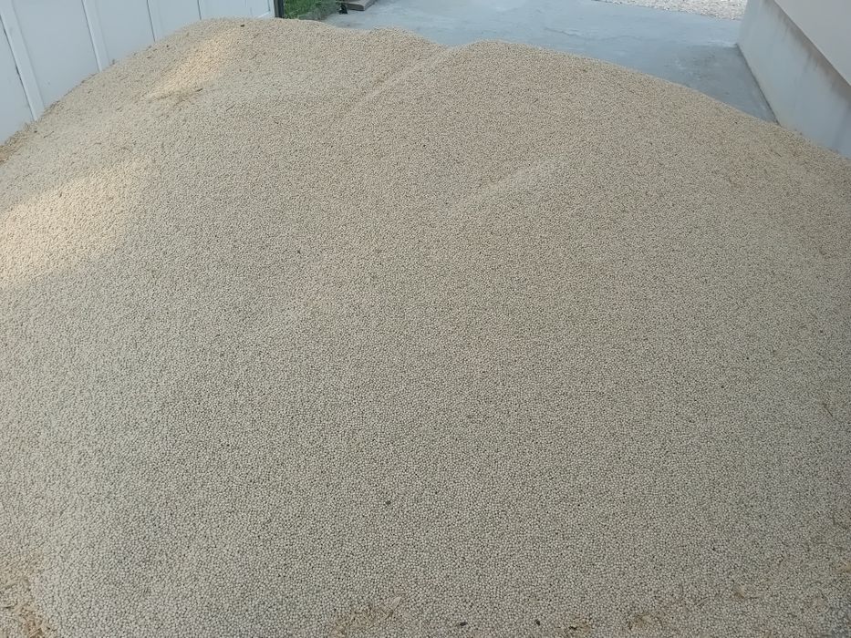 Mazăre de vânzare,  recoltă 2025