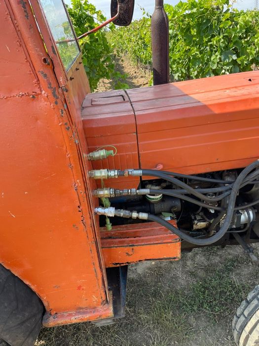 Masina de taiat lästari carnit