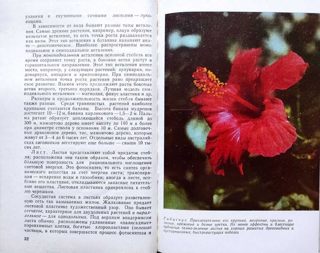 Цветоводство – подборка книг_02
