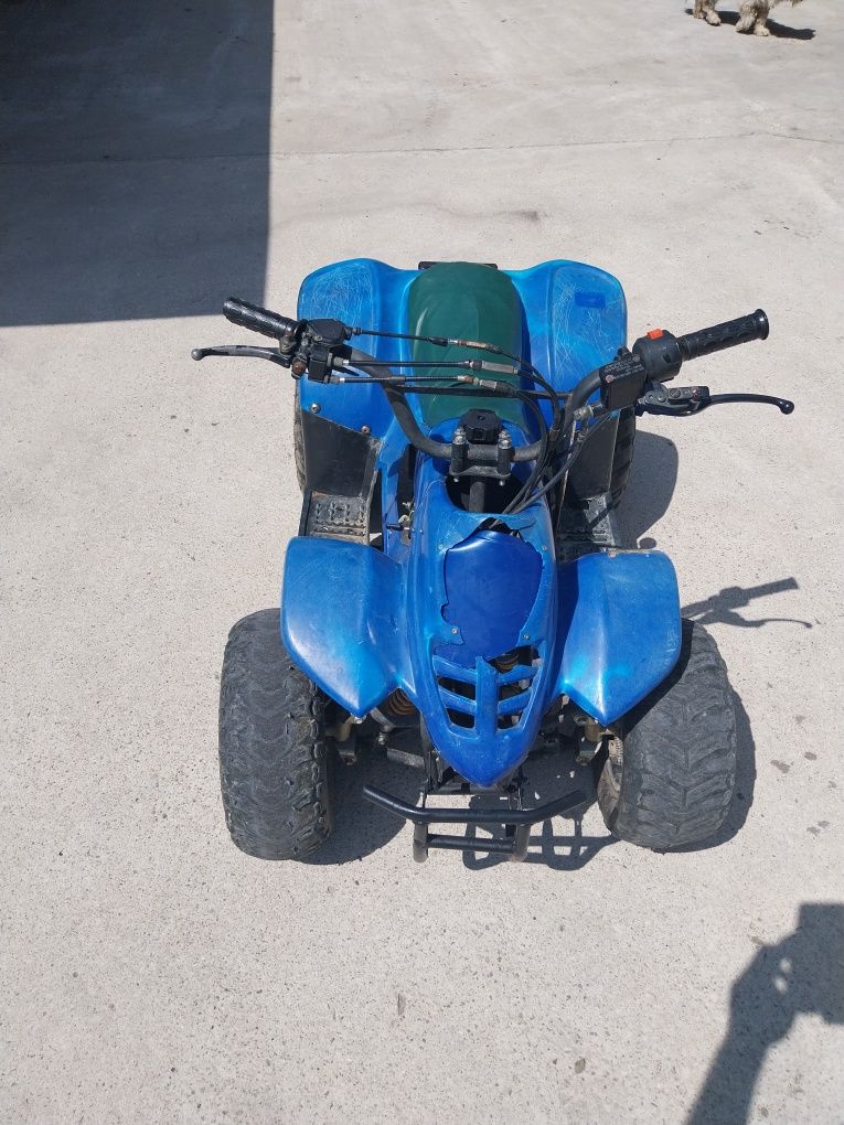 Atv 125 cadru mic  automat DNR