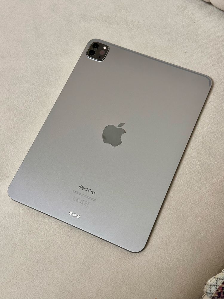 Ipad Pro 11 256GB WIFI