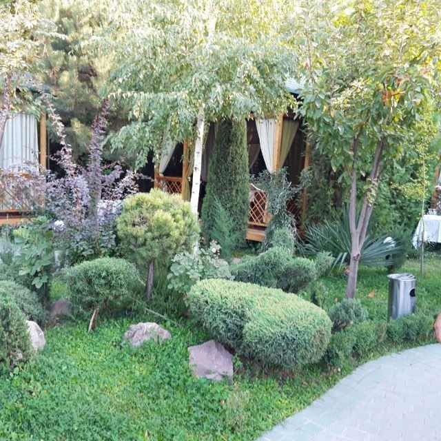 гумус gumus газон