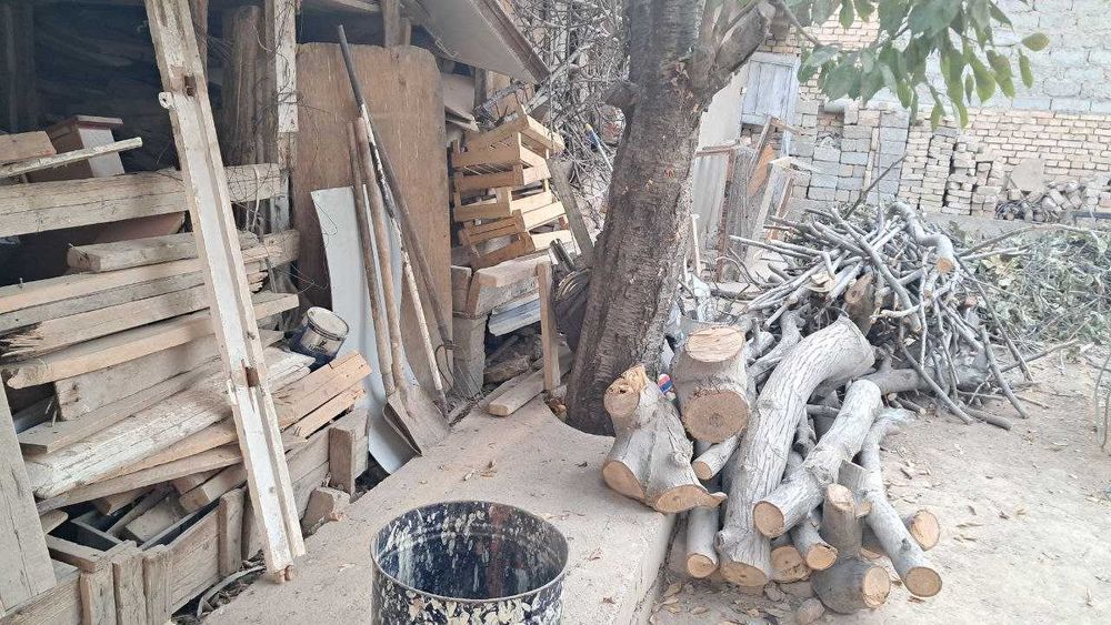 O'tin bor bitta hazel chiqadi.