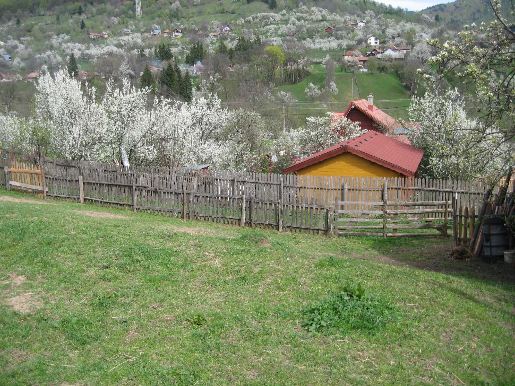 Teren Valea Doftanei - Trăisteni