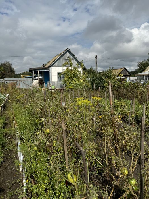 Продам дачу Борки