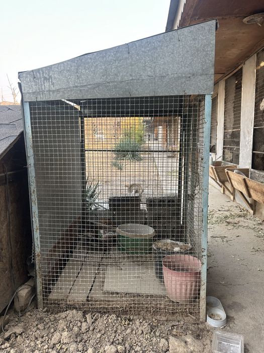 Клетка qafas валеьер сотилади