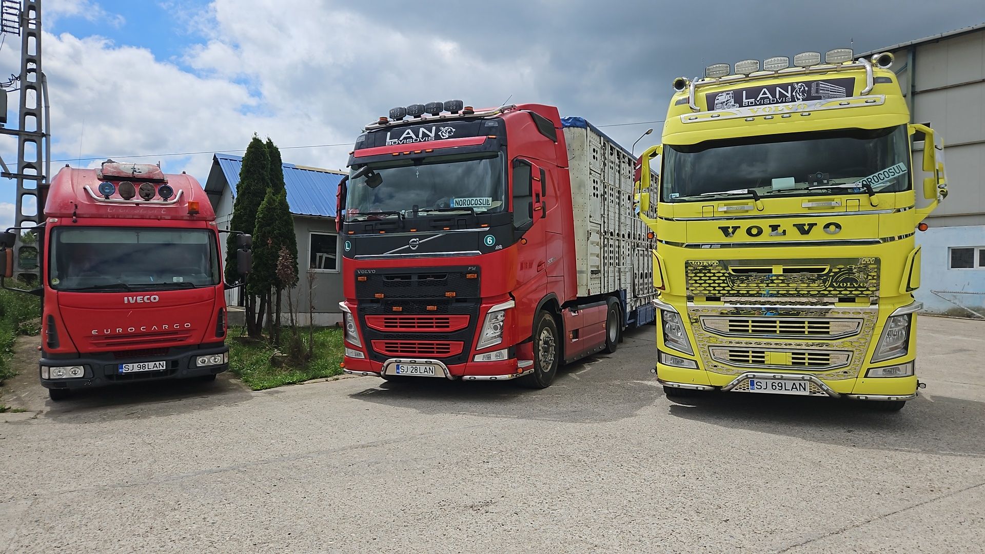 Transport animale vii