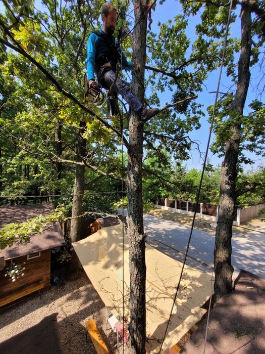 Alpinist utilitar-reparatii/vopsit acoperis/materiale publicitare+ etc