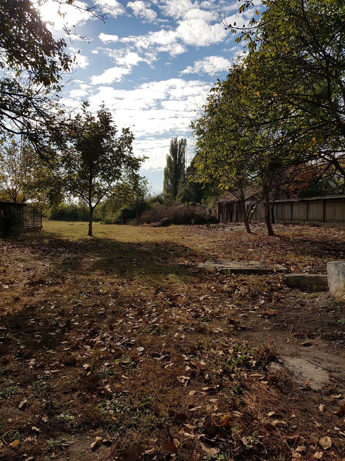 Teren intravilan cu casa pentru demolat in Curtici - Arad. 6000 m2.