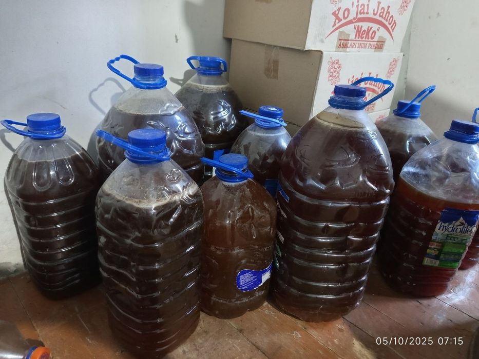 1kg Asal 80 000 dan 100 000 gacha sotiladi