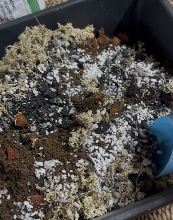 Продам проф грунт для комнатных растений