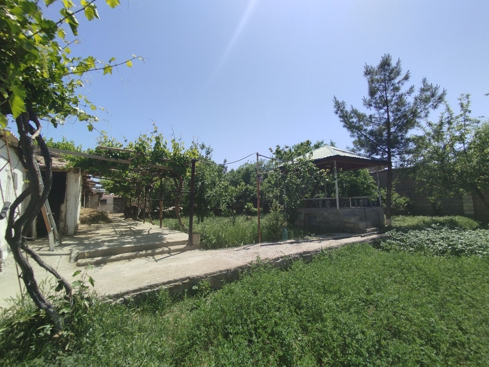 Hovli sotiladi narpay 7 bulim
