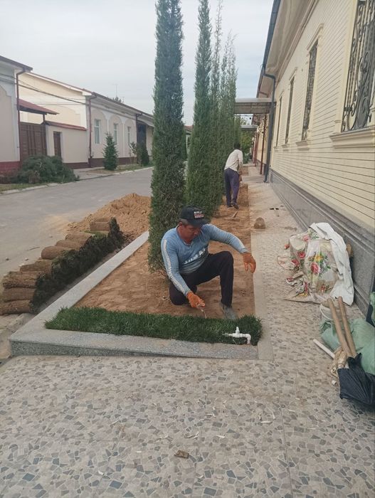 Газон экиш арча иш дорилаш олиб бориб экиб бериш хизмати бор archa