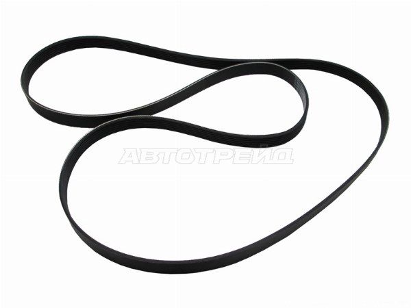 Ремень приводной Ford Focus