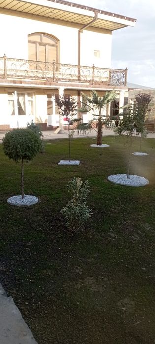 Landshaft dizayni  25000