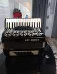 Acordeon hohnica