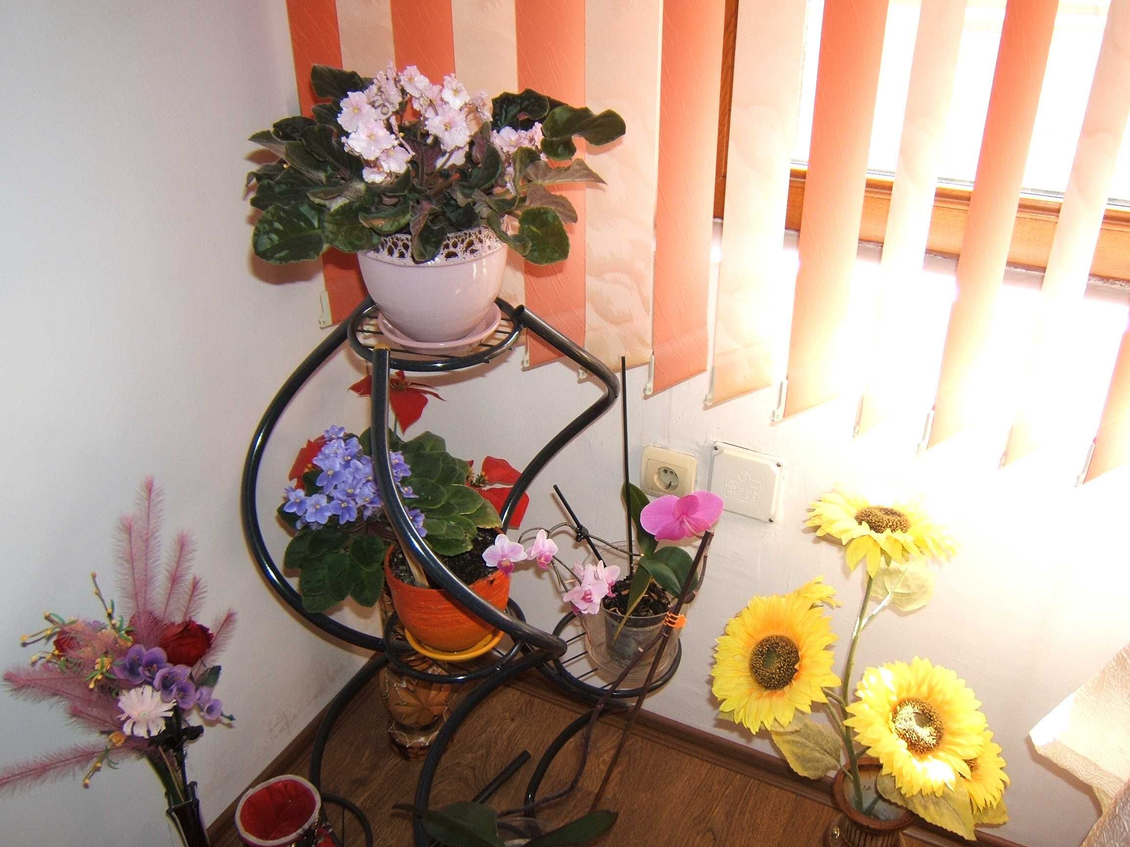цифров фотоапарат Fujifilm FinePix E500