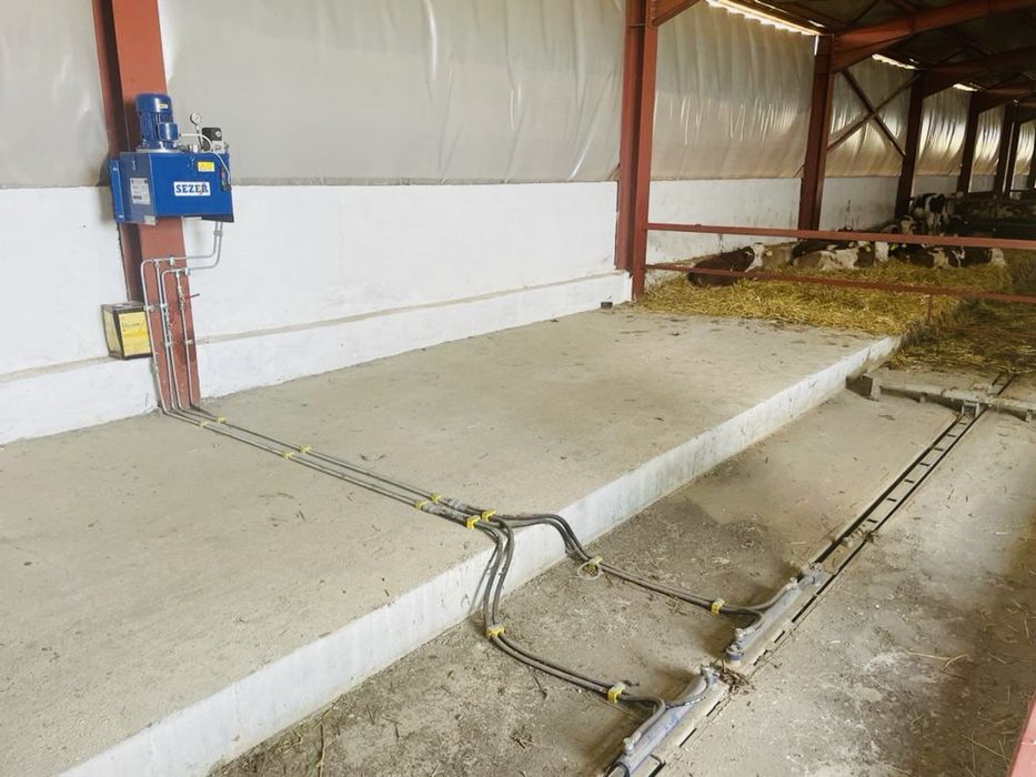 Vand afacere la cheie Ferma Zootehnica animale tauri/posibilitate rate