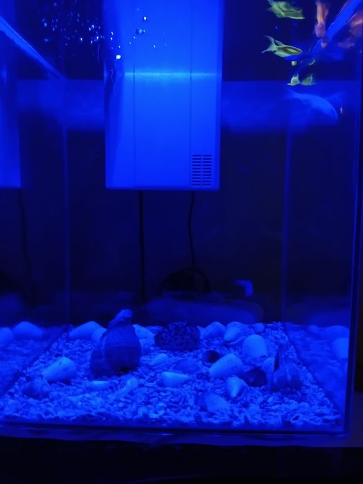 Аквариум 35 литрлик