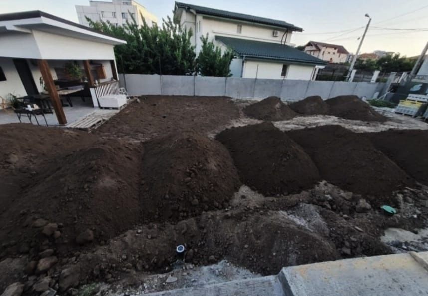 Pământ vegetal pentru (gazon și flori )