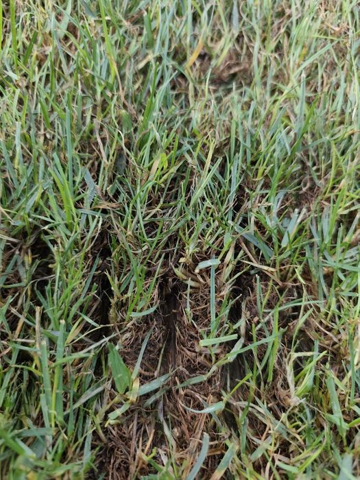 Sisteme de irigații automate pentru grădina ta–proiectare și montaj