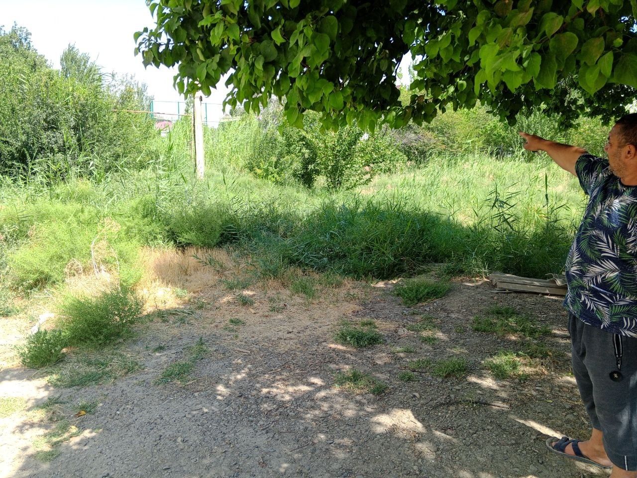 3 хонали квартира.