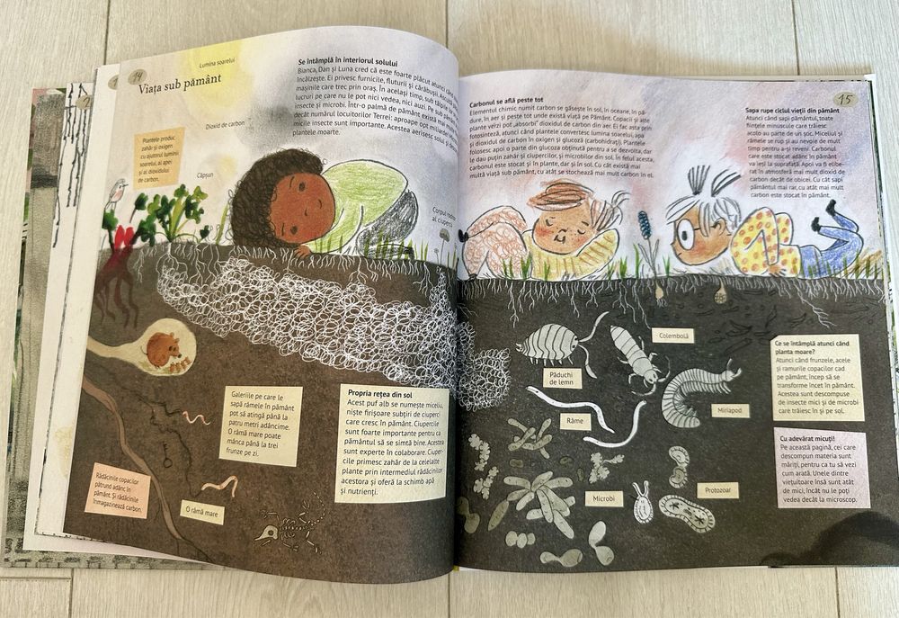 Secretul micilor grădinari, Lina Laurent, Nouă